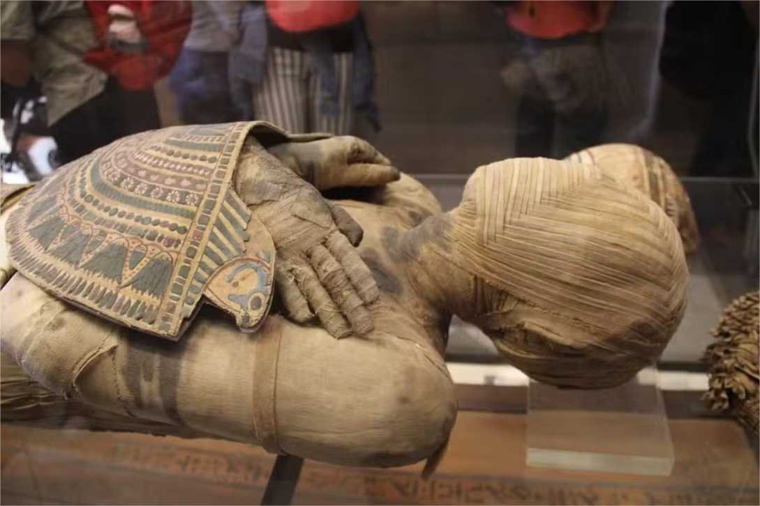 DNA da Peste Negra é encontrado em múmia egípcia de cerca de 3.300 anos