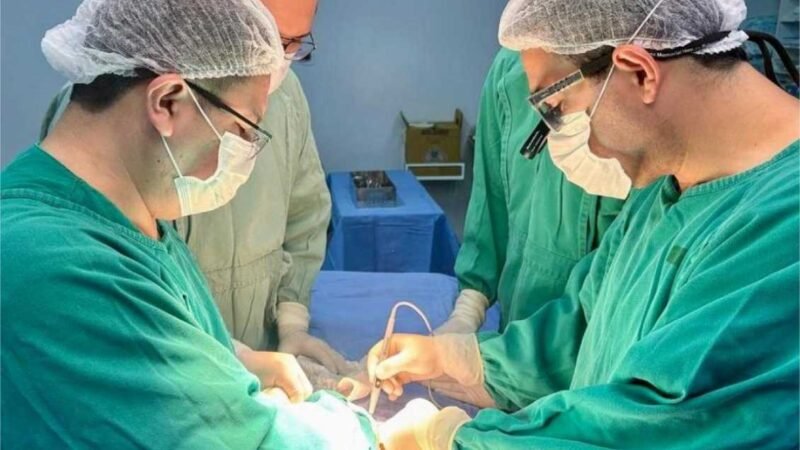 Mato Grosso realizou a captação de 36 órgãos em 2024