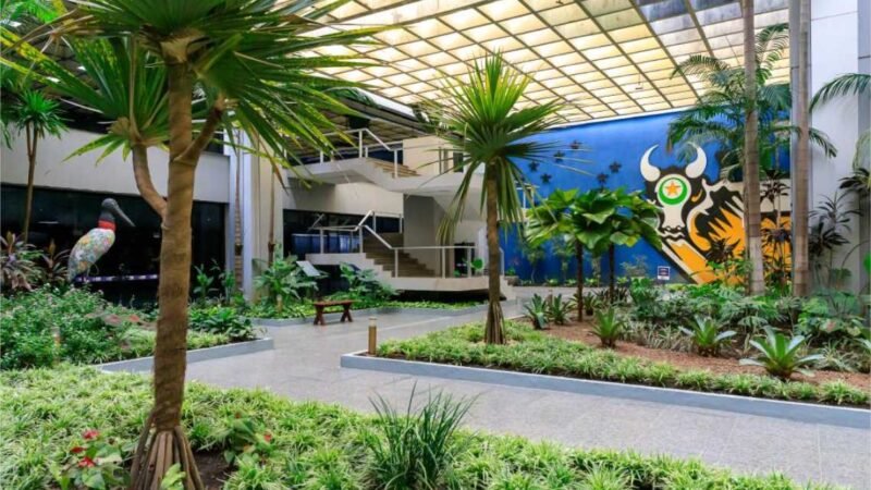 Mato Grosso lidera ranking nacional de solvência fiscal