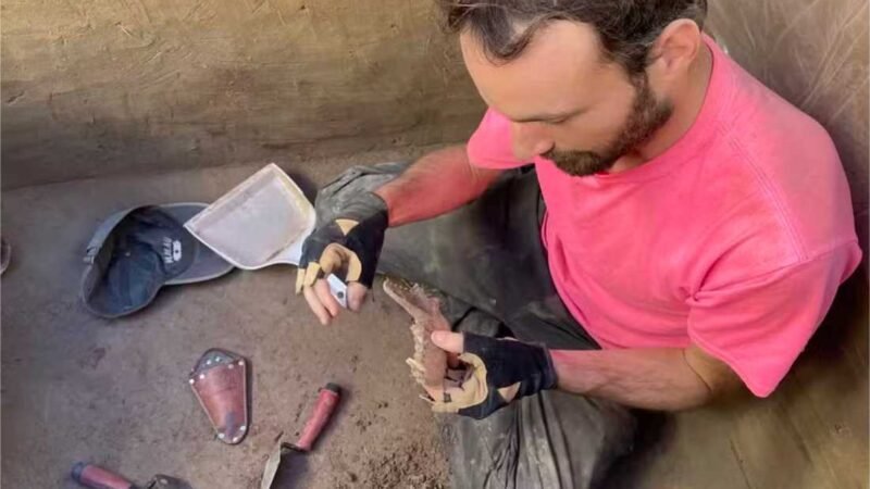 Amizade entre humanos e cães existia nas Américas há 12 mil anos, indicam fósseis