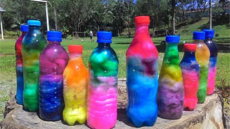 Programação de dezembro do Museu de História Natural tem yoga, oficinas de bola de natal e fotografia bordada