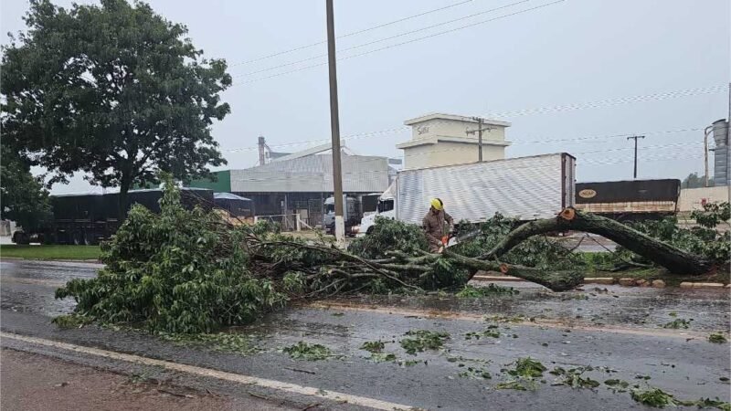 Corpo de Bombeiros reforça importância de adotar medidas preventivas durante período de chuvas