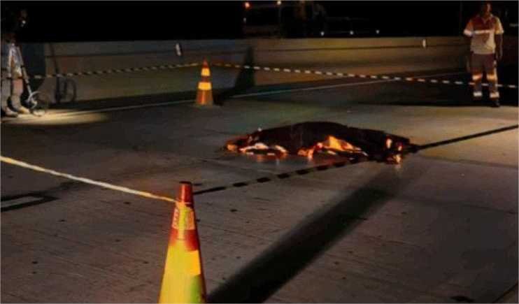 Com duas mortes em três dias, AEDIC volta a cobrar ação do poder público na BR-364