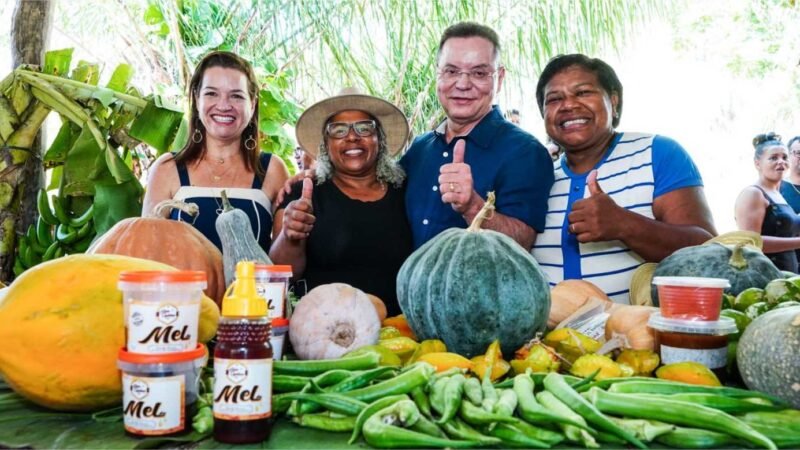 Leis de Botelho reforçam a proteção e inclusão da mulher em MT