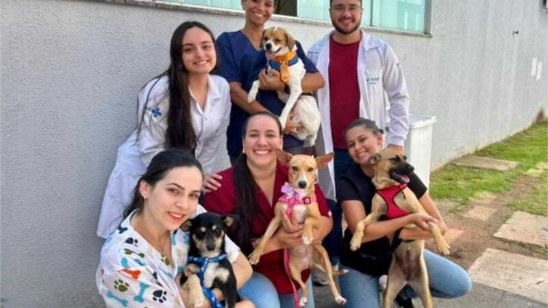 Projeto do Hospital Regional de Sinop leva cães para ajudar no tratamento de de crianças internadas