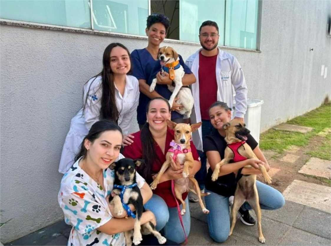 Projeto do Hospital Regional de Sinop leva cães para ajudar no tratamento de de crianças internadas