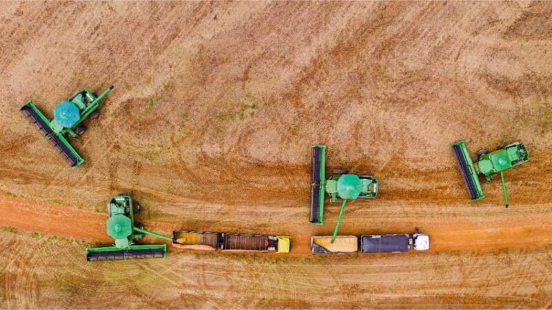 Puxada pela soja, produção de grãos em MT deve aumentar 4,4% na safra 2024/2025, estima Conab