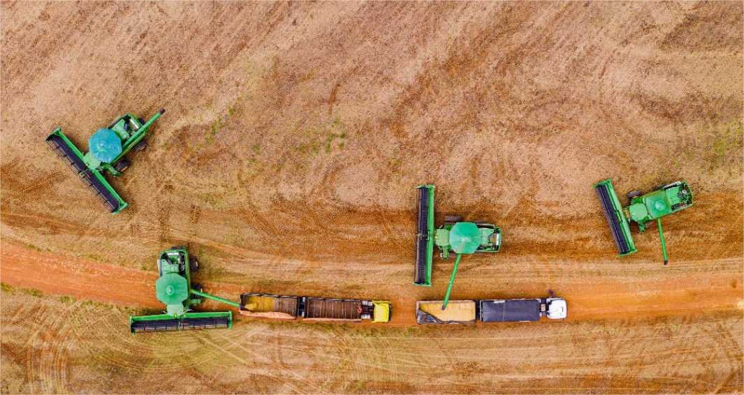 Puxada pela soja, produção de grãos em MT deve aumentar 4,4% na safra 2024/2025, estima Conab