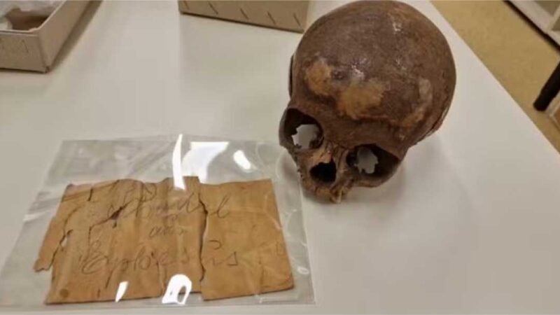 Suposto crânio da irmã de Cleópatra era, na verdade, de menino com deficiência