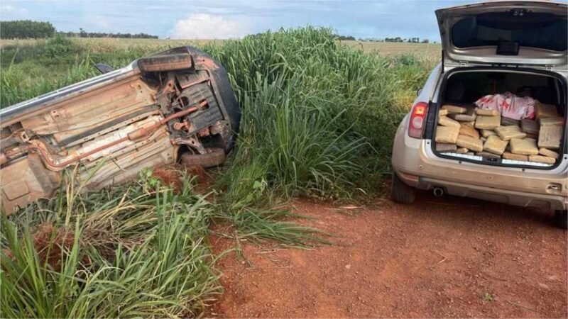 Polícia Militar apreende 274 tabletes de supermaconha em Campo Verde; prejuízo às facções é de R$ 4,5 milhões