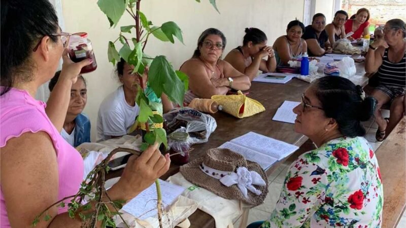 Seciteci abre inscrições para cursos gratuitos com pagamento de auxílio estudantil