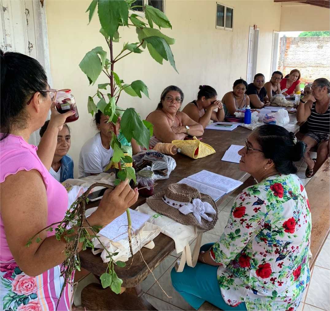 Seciteci abre inscrições para cursos gratuitos com pagamento de auxílio estudantil