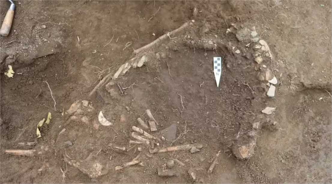 Encontrado fóssil de mulher grávida que pode ter sido oferenda há 1200 anos