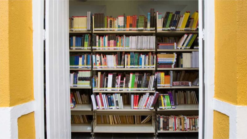 Biblioteca Estadual Estevão de Mendonça retoma empréstimo domiciliar de livros