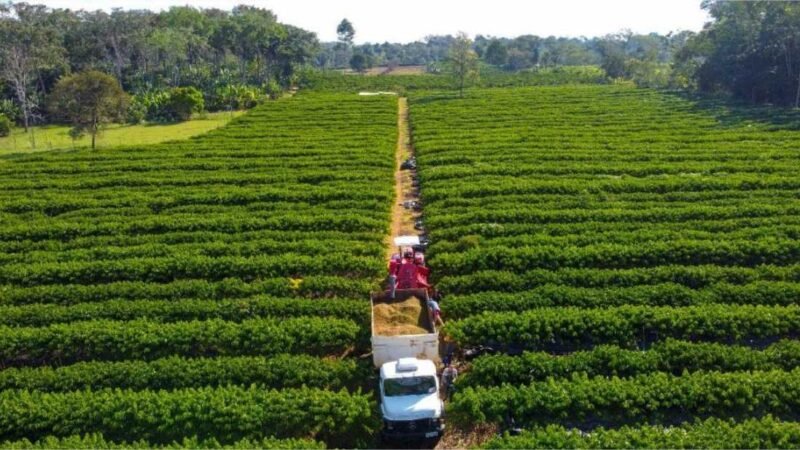 Governo de MT tem linha de crédito para financiar equipamentos, máquinas e implementos agrícolas