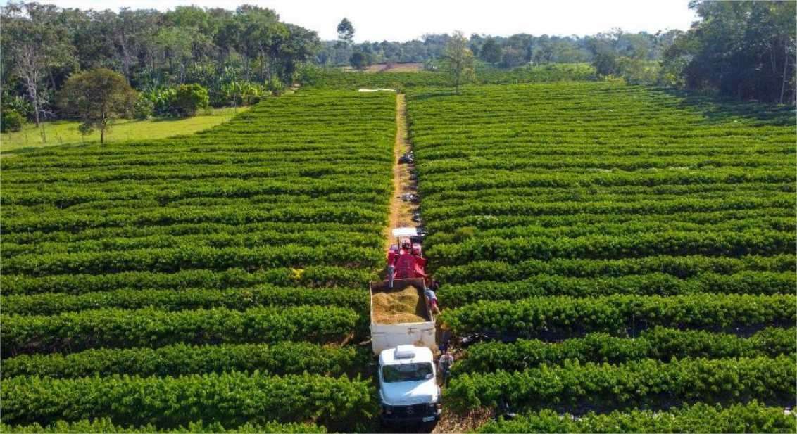 Governo de MT tem linha de crédito para financiar equipamentos, máquinas e implementos agrícolas
