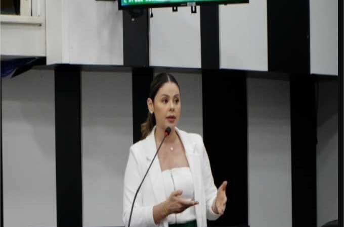 Michelly Alencar leva demandas de fiscalizações à Comissão de Saúde e reforça luta por melhorias no atendimento