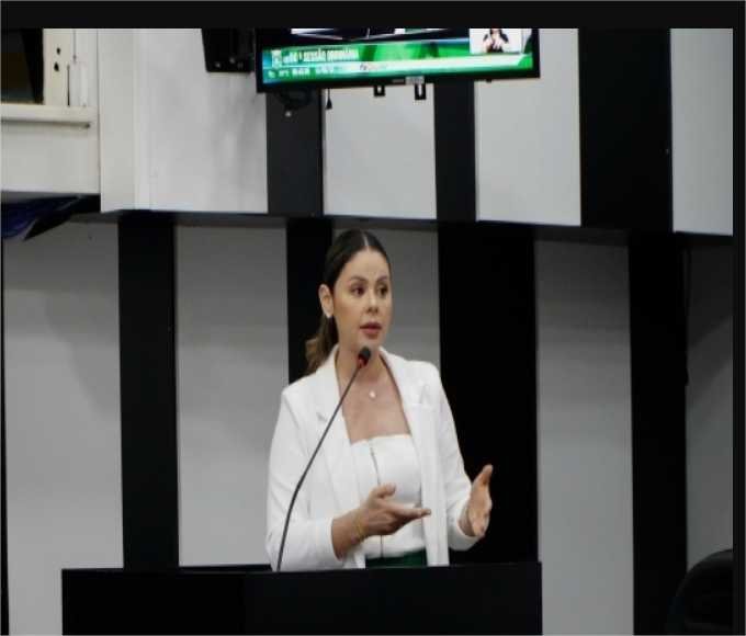 Michelly Alencar leva demandas de fiscalizações à Comissão de Saúde e reforça luta por melhorias no atendimento
