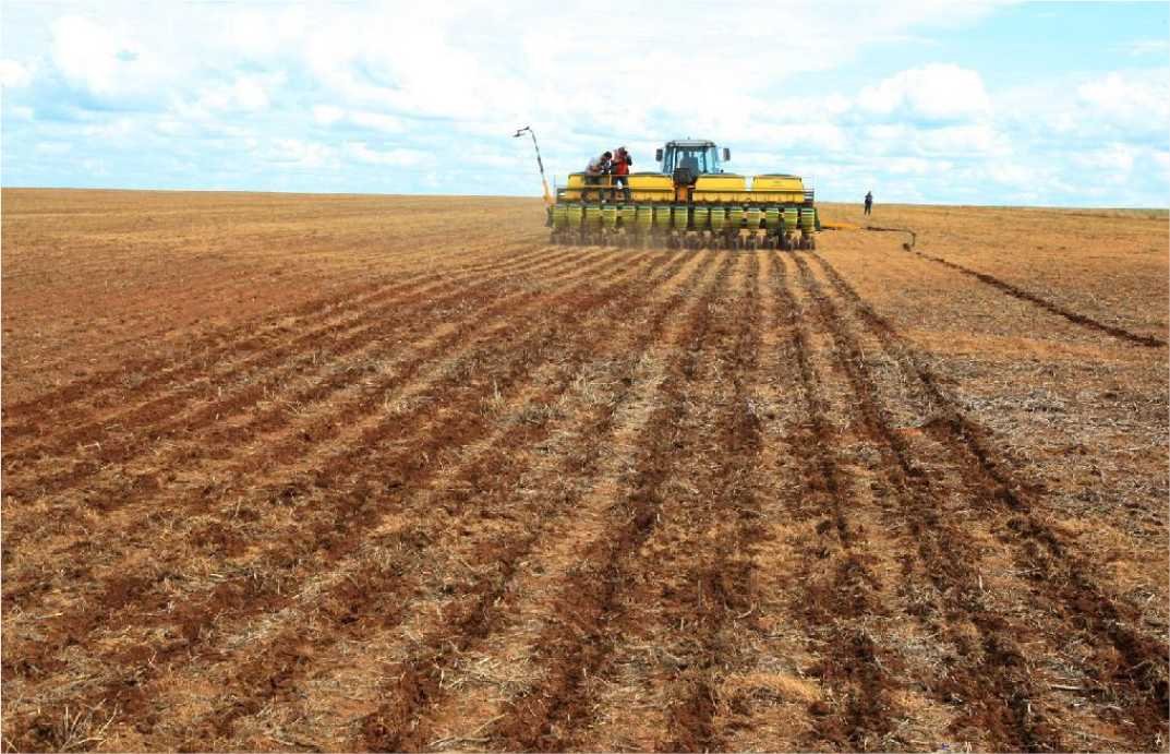 Indea prorroga prazo de cadastramento obrigatório de área cultivada de soja
