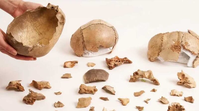 Canibalismo era comum em funerais na Europa há 15 mil anos, diz estudo