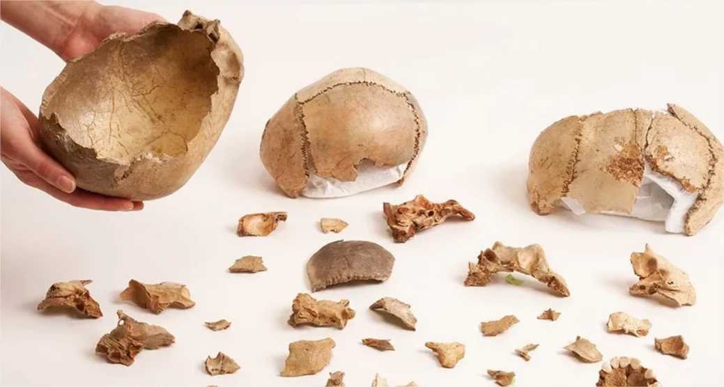 Canibalismo era comum em funerais na Europa há 15 mil anos, diz estudo