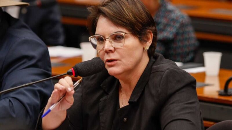 Deputada Coronel Fernanda rechaça ação de ONGs contra o fim da Moratória da Soja