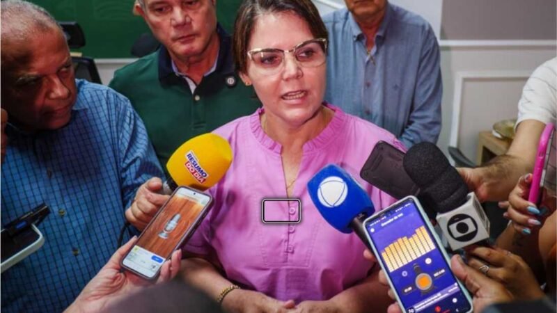 Deputada defende alterar a lei e lembra que PT foi beneficiado