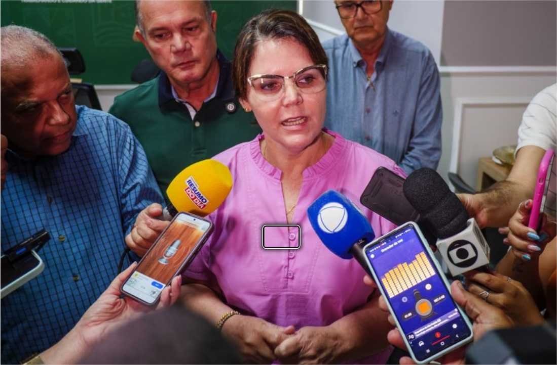 Deputada defende alterar a lei e lembra que PT foi beneficiado