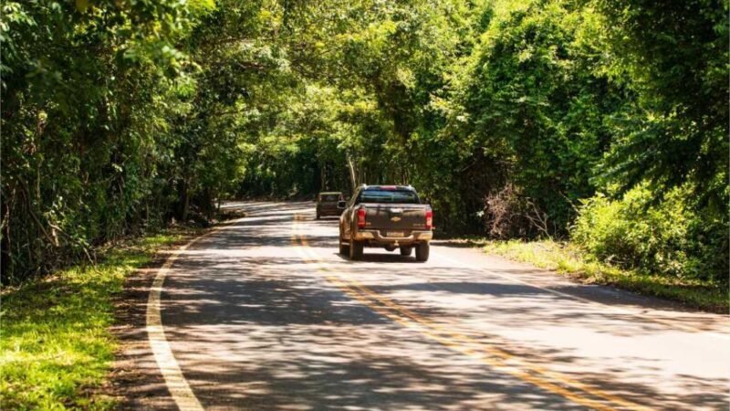 Detran-MT orienta condutores com dicas de segurança para viajar no Carnaval