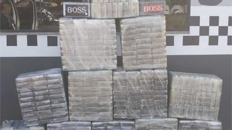 Polícia Militar apreende mais de quatro toneladas de drogas em janeiro no Estado