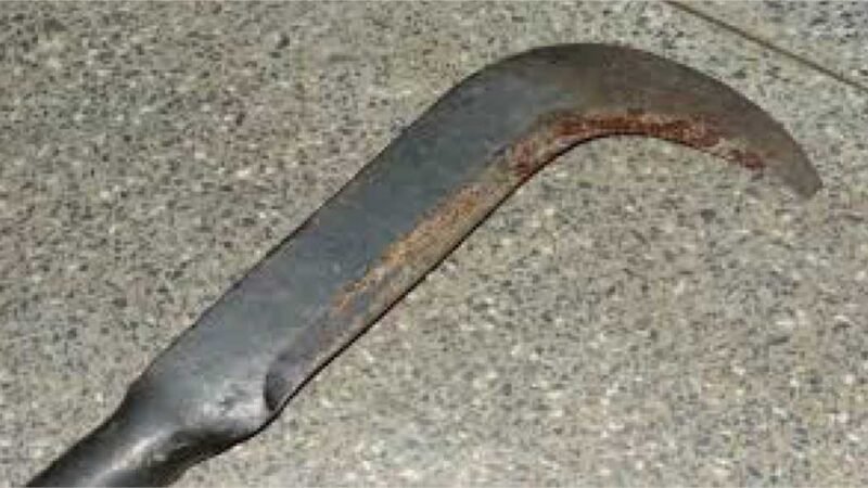 Homem é morto com golpes de foice em região de garimpo; suspeito é preso