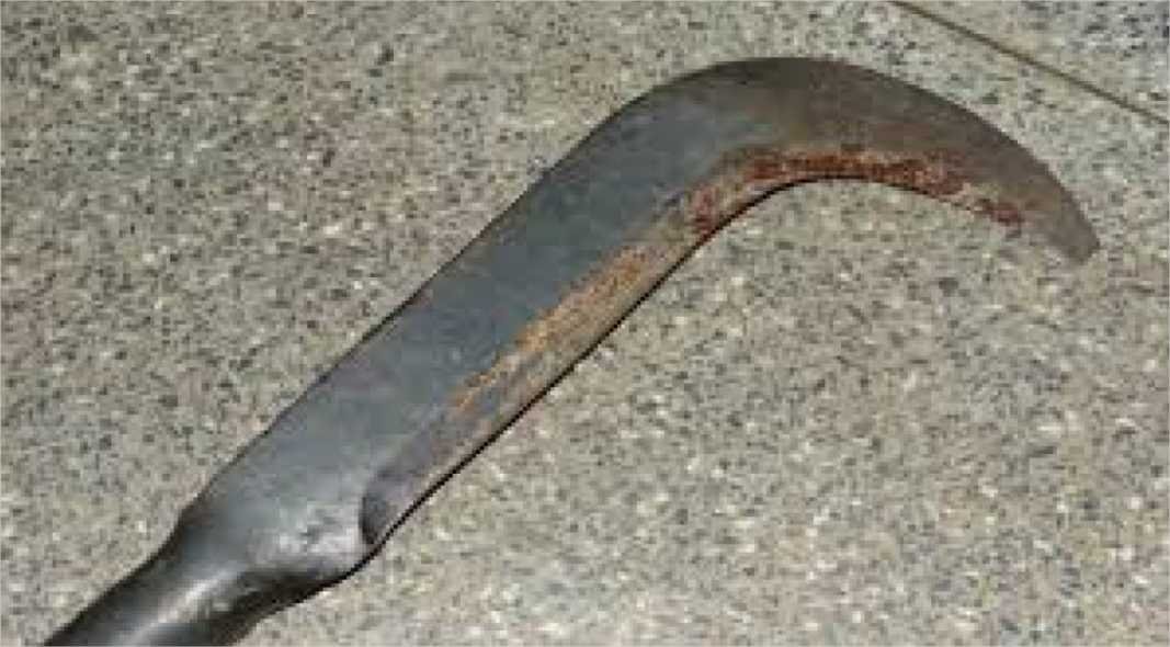 Homem é morto com golpes de foice em região de garimpo; suspeito é preso