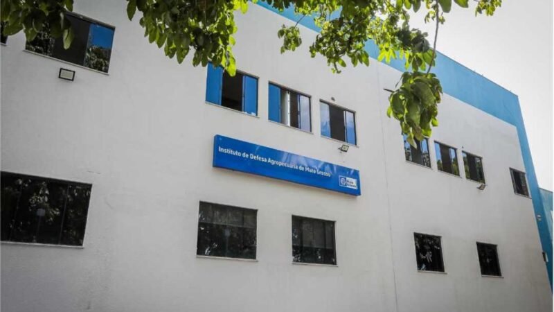 Indea confirma caso de besouro que ataca colmeias em MT e emite nota técnica para produtores