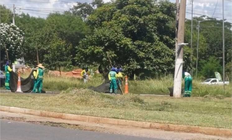 Serviços de limpeza nos bairros Itapajé e Jardim Presidente II têm início após indicação de Paula