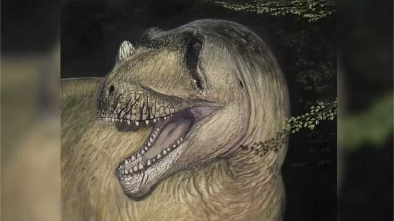 Dinossauro é descoberto a partir de fotos de fósseis destruídos na 2ª Guerra