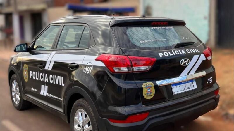 Polícia Civil cumpre prisão contra autor de vários furtos em Porto Alegre do Norte