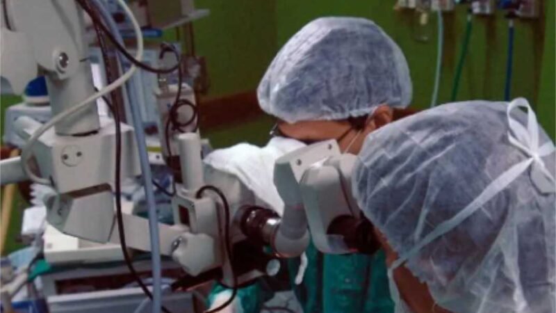 Captações de córneas realizadas pela Politec em 2024 ajudam 300 pessoas a restaurar a visão