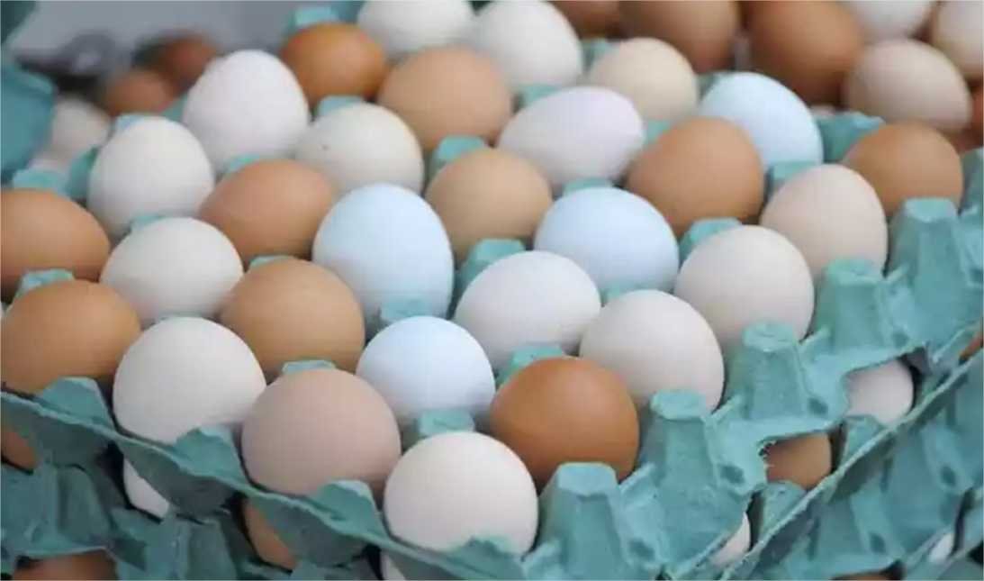 Saiba por que o preço dos ovos subiu nos últimos dias