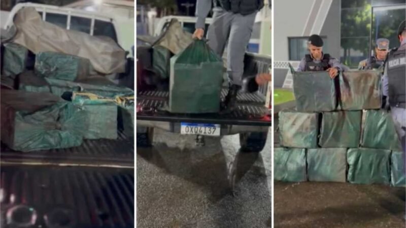 PM apreende 411 kg de drogas; grupo tem prejuízo de R$ 7,5 mi
