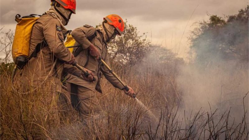 Governo de MT lança Plano de Ação de Combate ao Desmatamento Ilegal e Incêndios Florestais nesta quinta-feira (27)