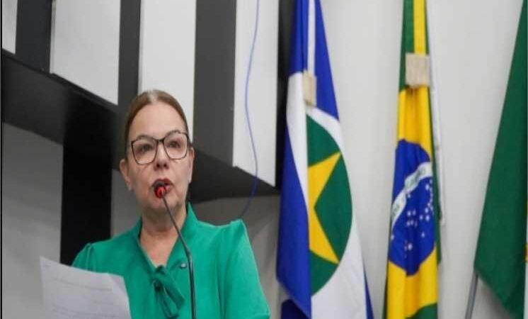 Projeto de lei que reconhece a farofa de banana como patrimônio cultural imaterial de Cuiabá é aprovado