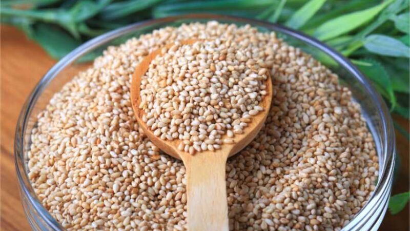 MT firma parceria inédita com centro de pesquisa da China para desenvolvimento do gergelim