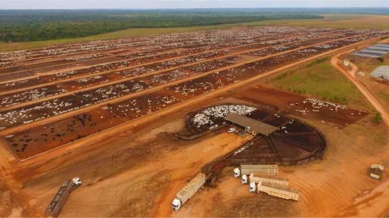 Justiça Defere Pedido de Recuperação Judicial do Grupo LFPEC