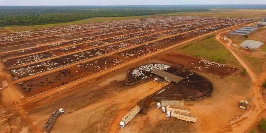 Justiça Defere Pedido de Recuperação Judicial do Grupo LFPEC