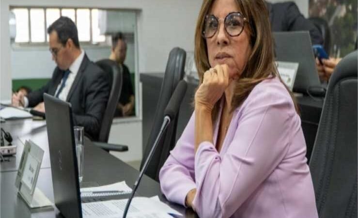 Maria Avalone vai homenagear artesãos de Cuiabá em sessão solene