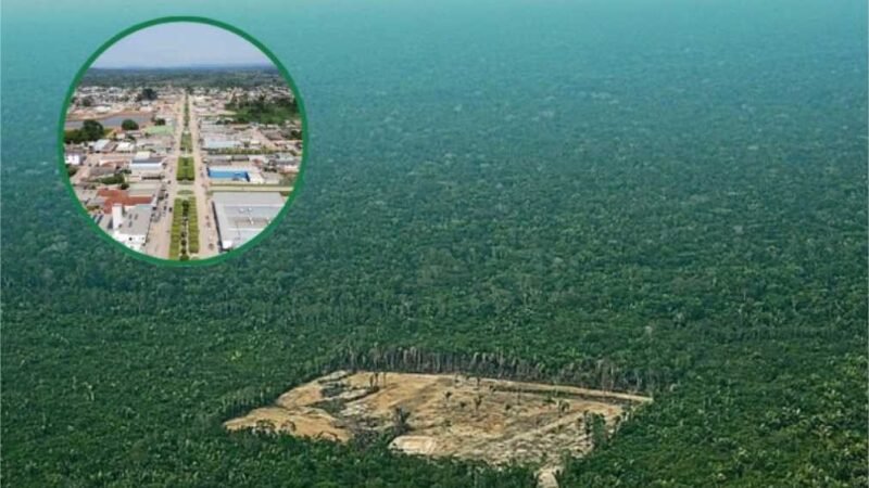 MP ajuíza mais de 30 ações civis públicas ambientais em município