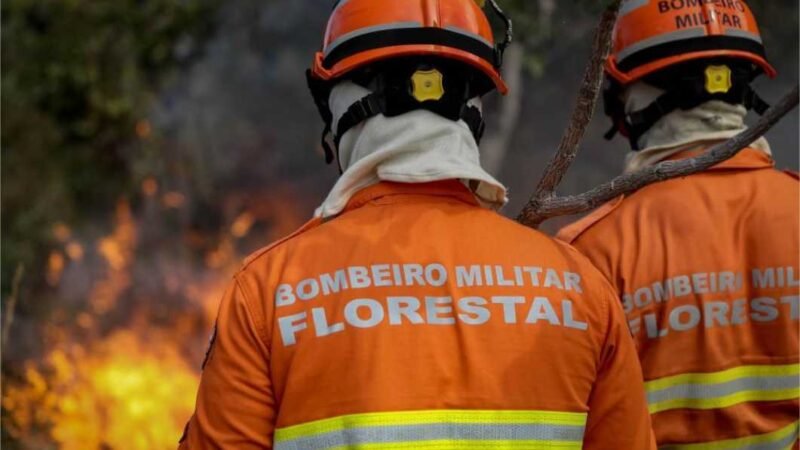 Corpo de Bombeiros abre inscrições para o 7° Curso de Prevenção e Combate a Incêndios Florestais