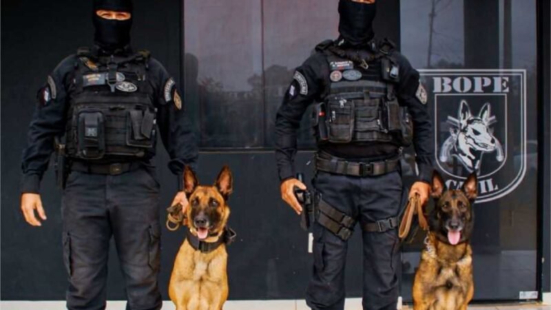 Drogas em encomendas são apreendidas em operação nos Correios