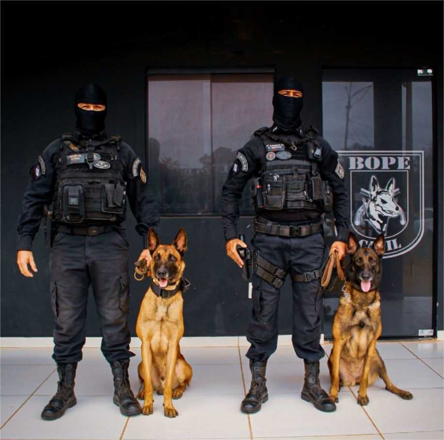 ​Drogas em encomendas são apreendidas em operação nos Correios