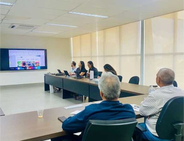 Conceel-EMT discute plano de investimentos da Energisa para 2025